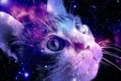 Аватарка космический кот