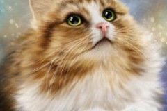 Аватарка кот в космосе
