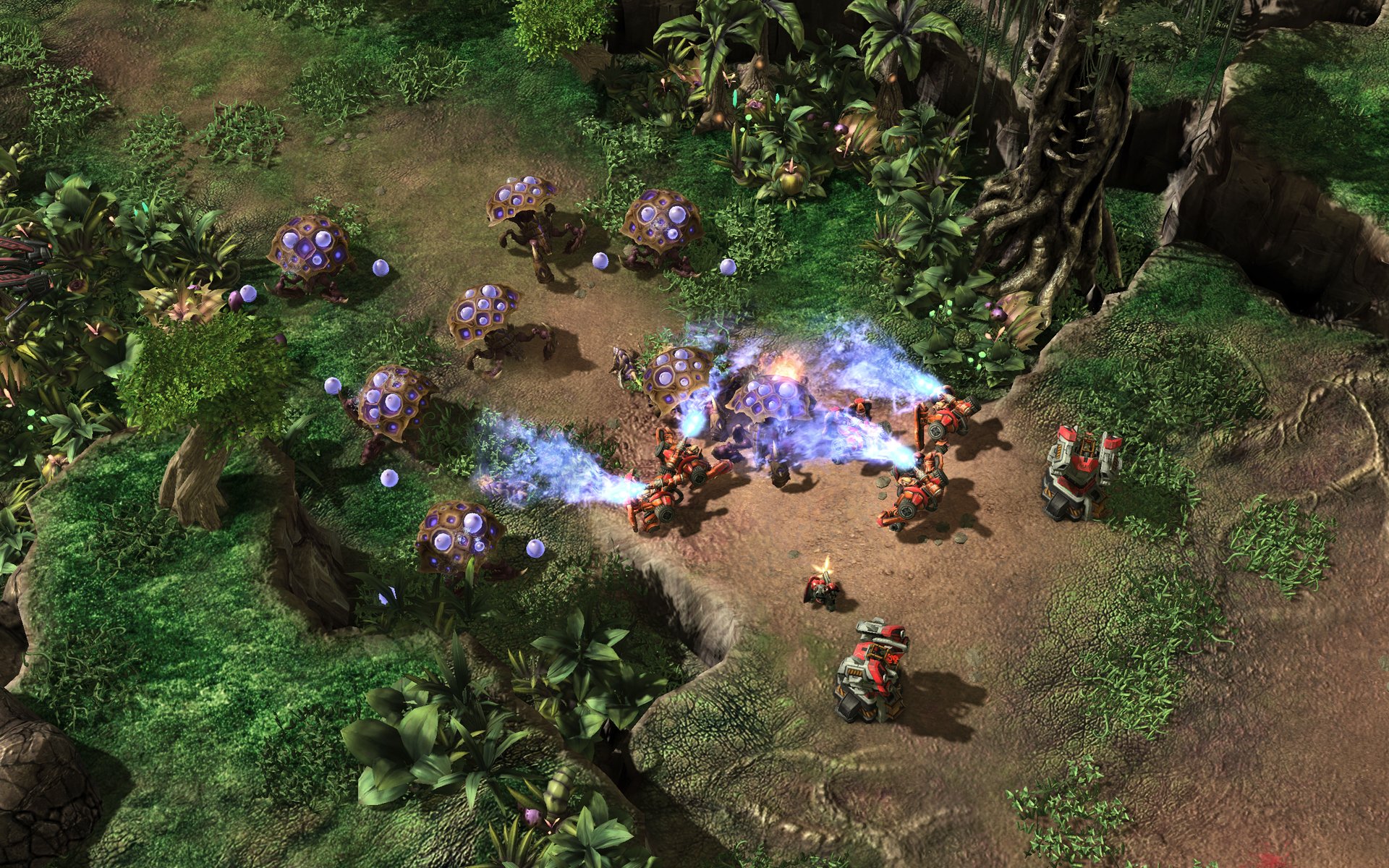 Starcraft 2 heart of the swarm