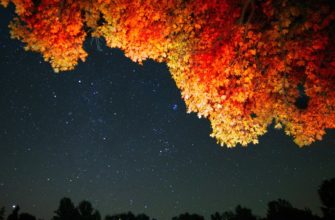 Звездное осеннее небо