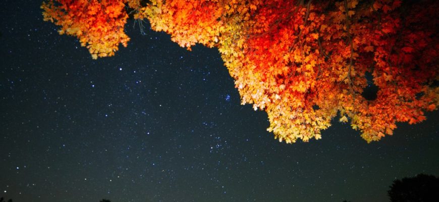 Звездное осеннее небо